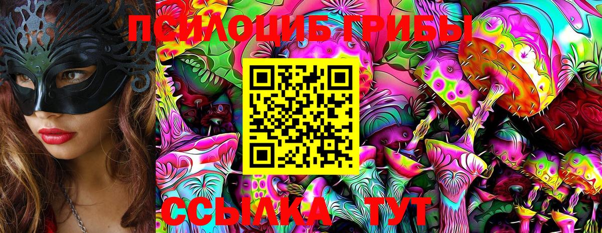 Псилоцибиновые грибы Cubensis Алексин