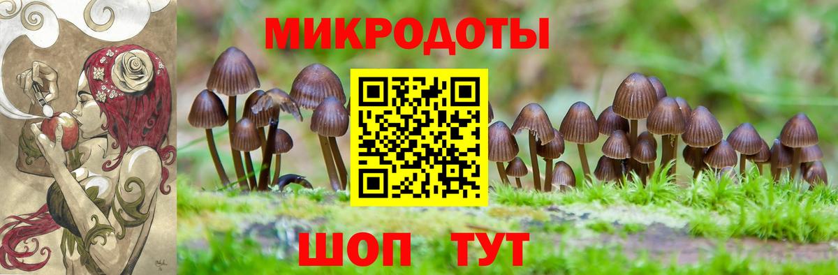 Галлюциногенные грибы Magic Shrooms  Вход с VPN  Алексин 